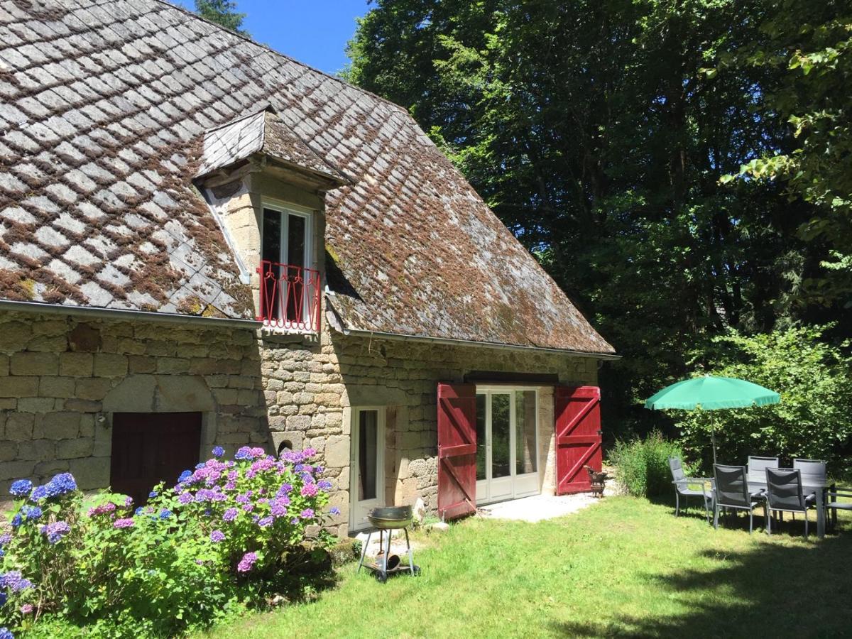 Gites Chateau Le Bois Saint-Julien-aux-Bois Экстерьер фото