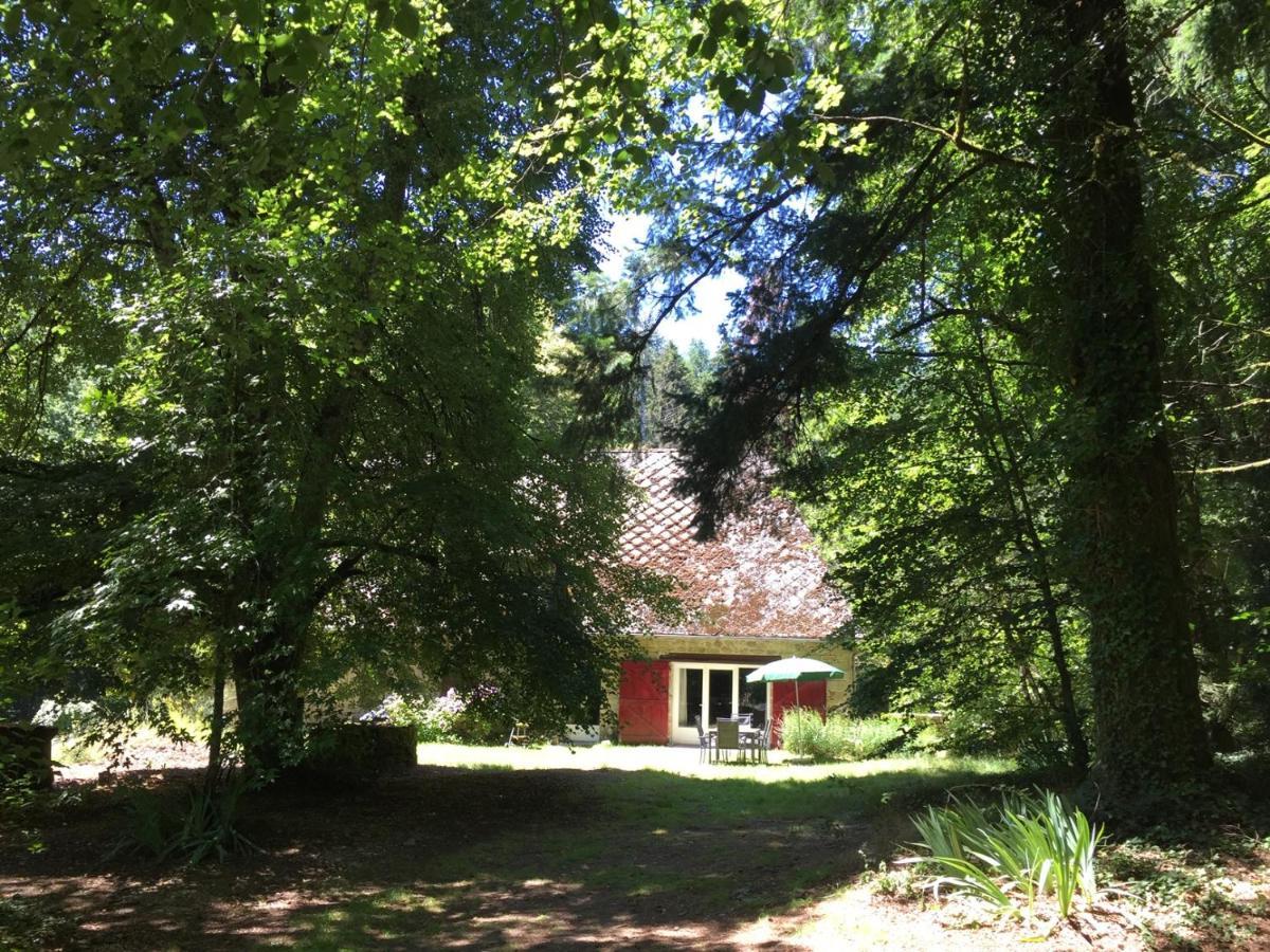 Gites Chateau Le Bois Saint-Julien-aux-Bois Экстерьер фото