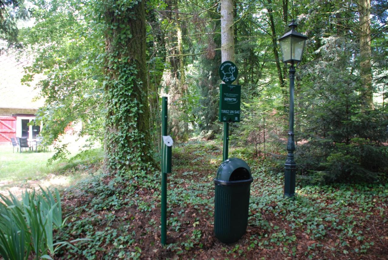 Gites Chateau Le Bois Saint-Julien-aux-Bois Экстерьер фото