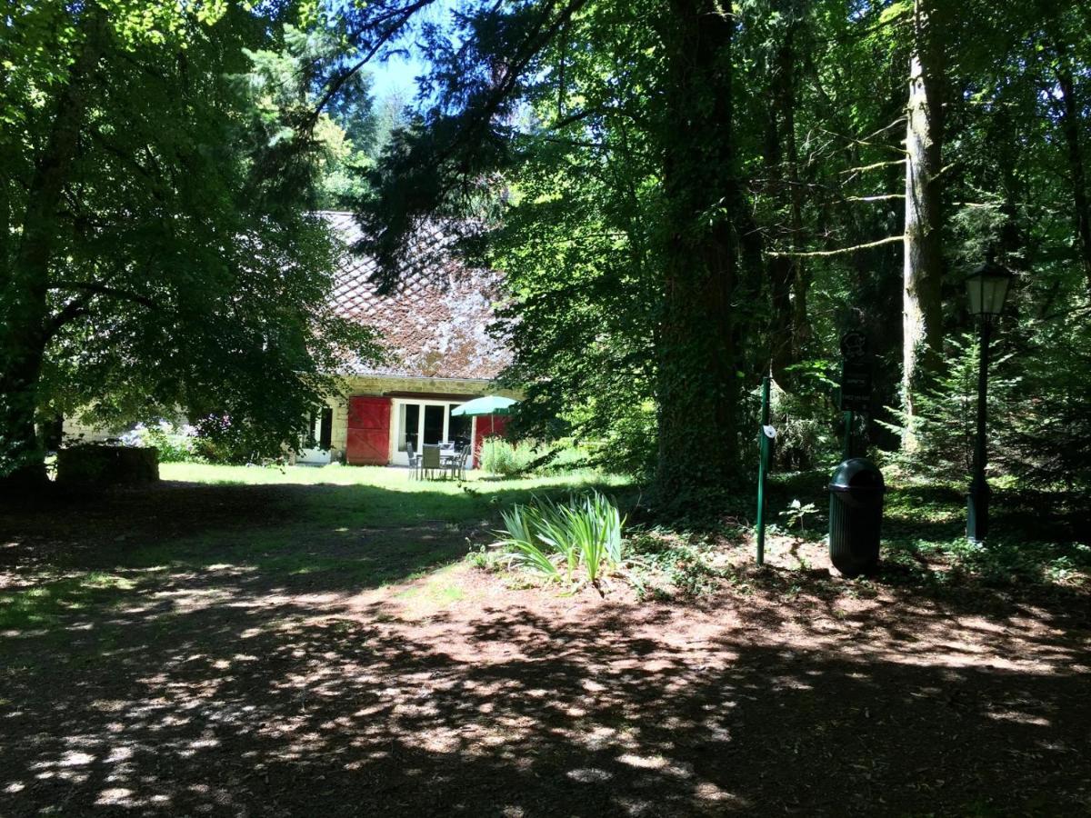 Gites Chateau Le Bois Saint-Julien-aux-Bois Экстерьер фото