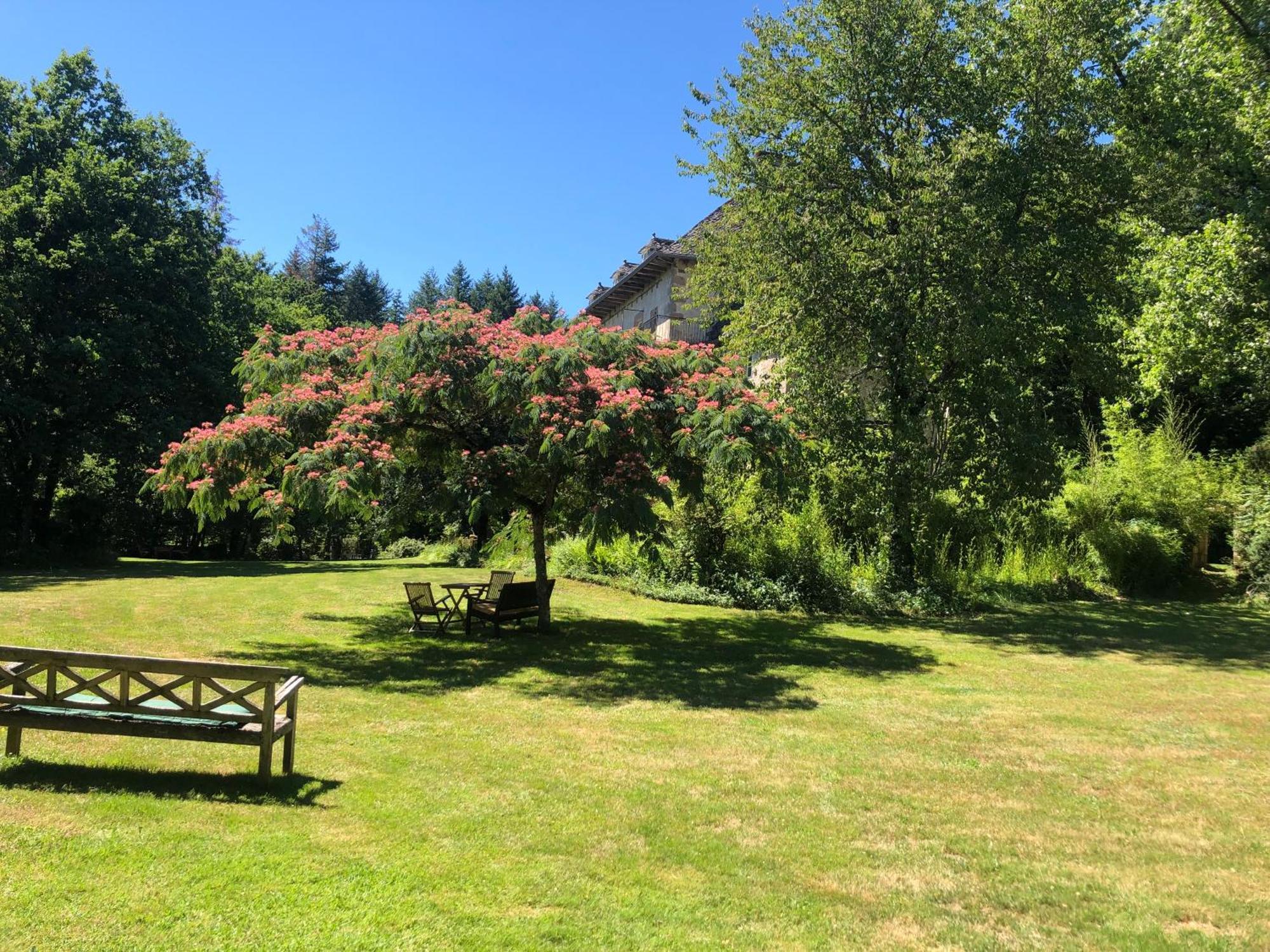 Gites Chateau Le Bois Saint-Julien-aux-Bois Экстерьер фото