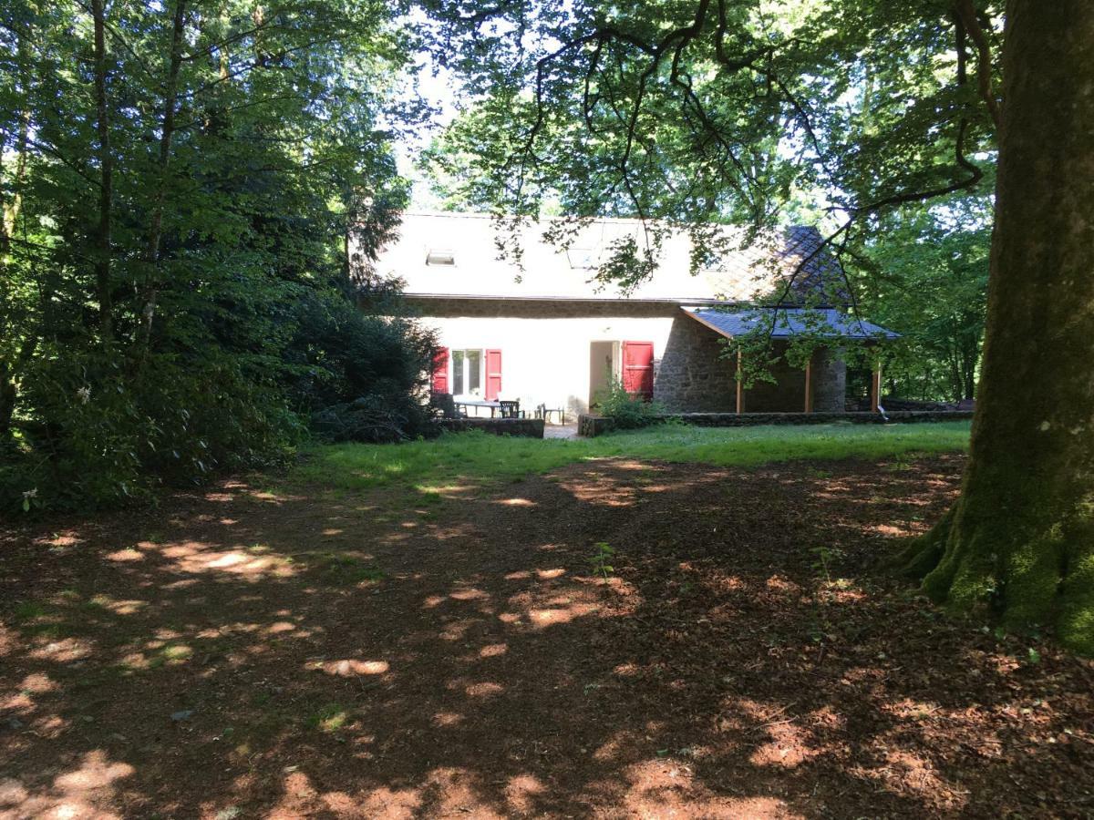 Gites Chateau Le Bois Saint-Julien-aux-Bois Экстерьер фото