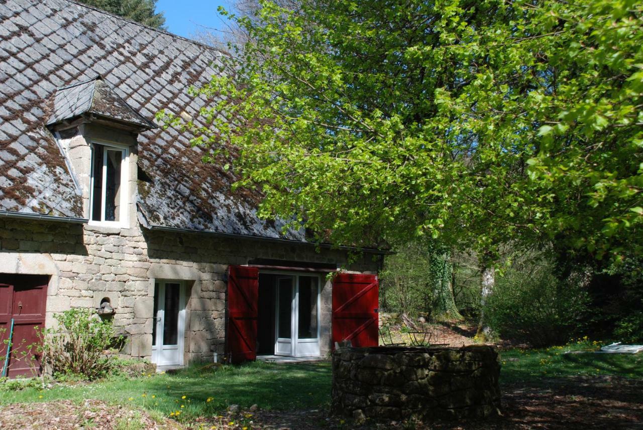 Gites Chateau Le Bois Saint-Julien-aux-Bois Экстерьер фото