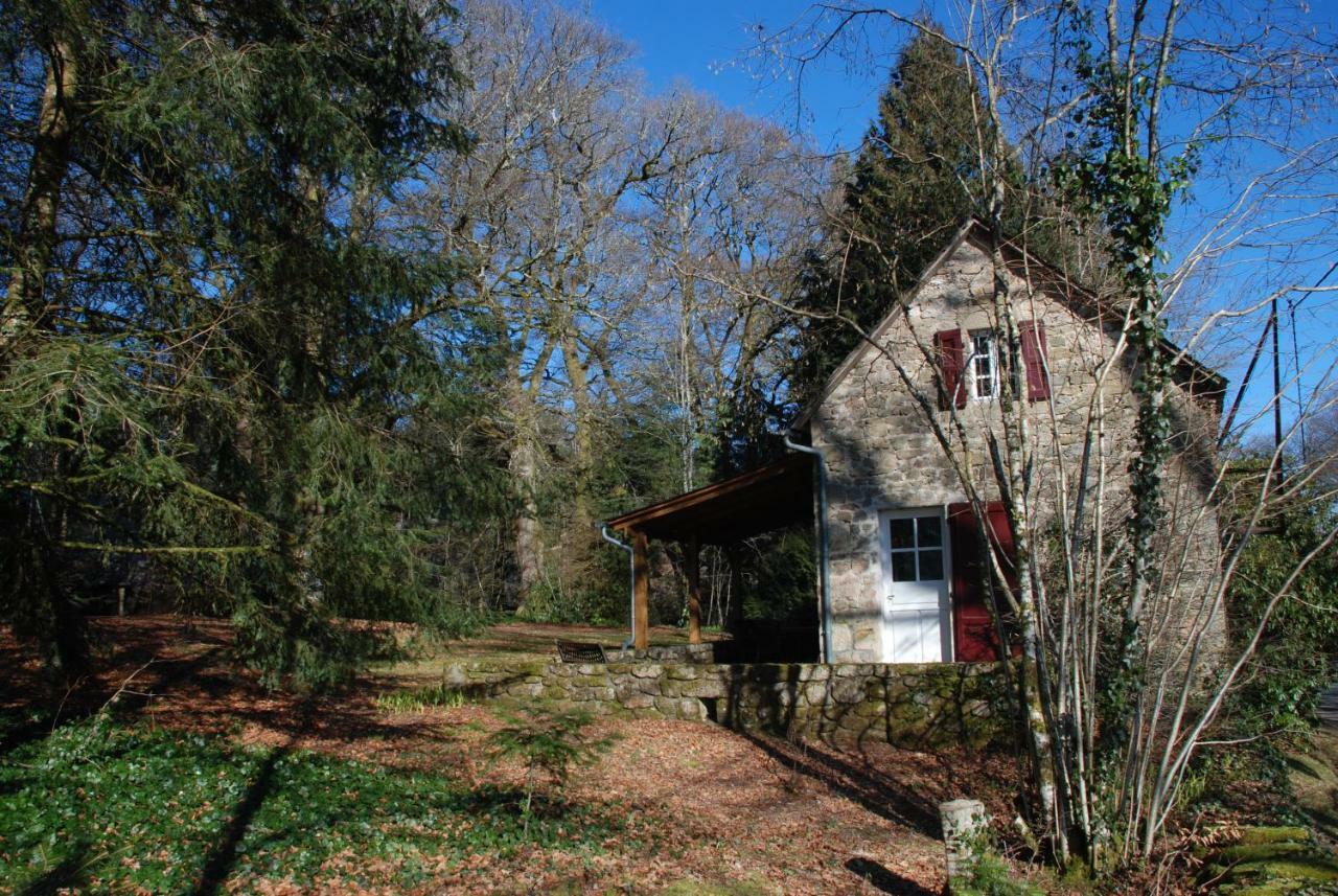 Gites Chateau Le Bois Saint-Julien-aux-Bois Экстерьер фото